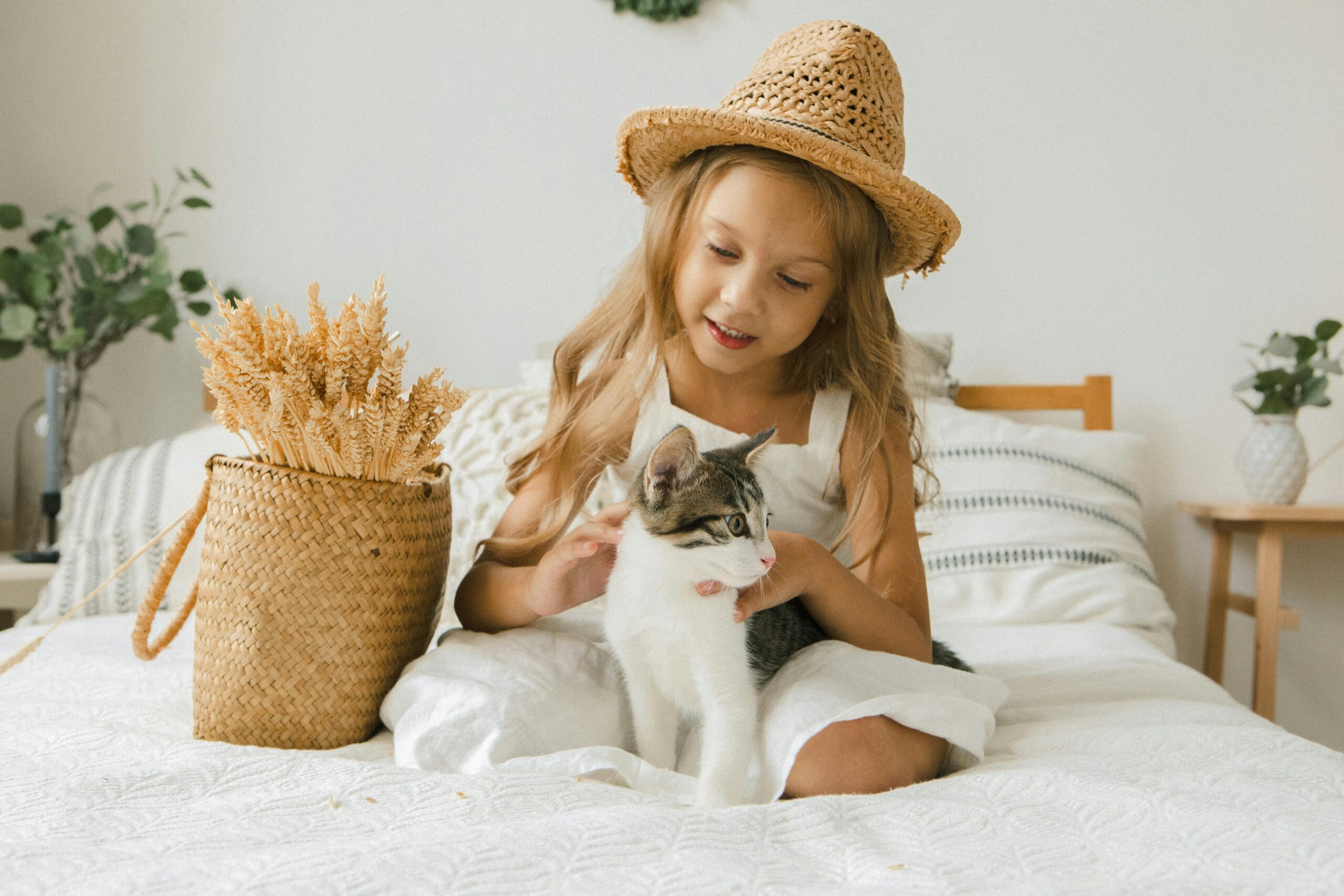 pet friendly accommodation